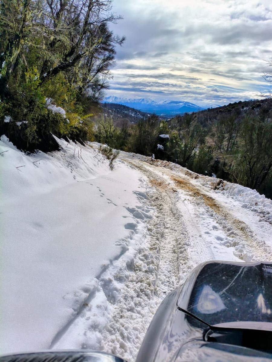 El camino de montaña con las banquinas nevadas, visto desde la camioneta.