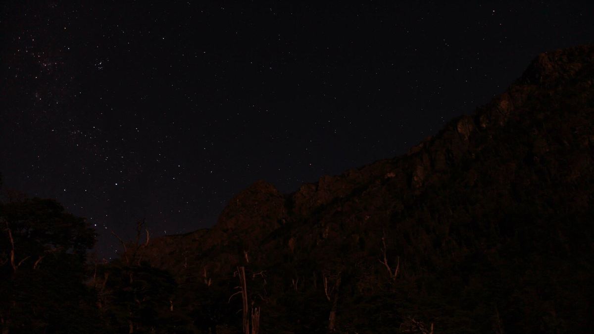 El cielo estrellado sobre el bosque, desde el refugio.