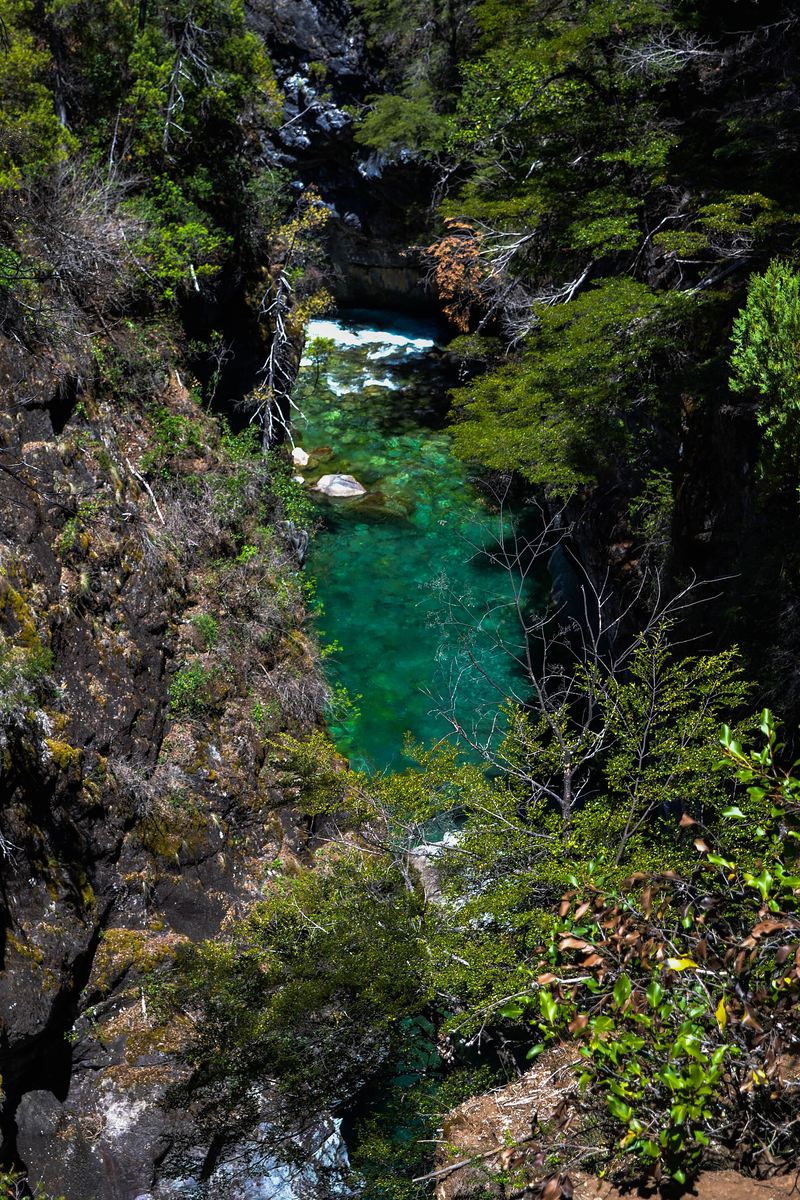 El río encajonado y verde en el refugio del Cajón del Azul.